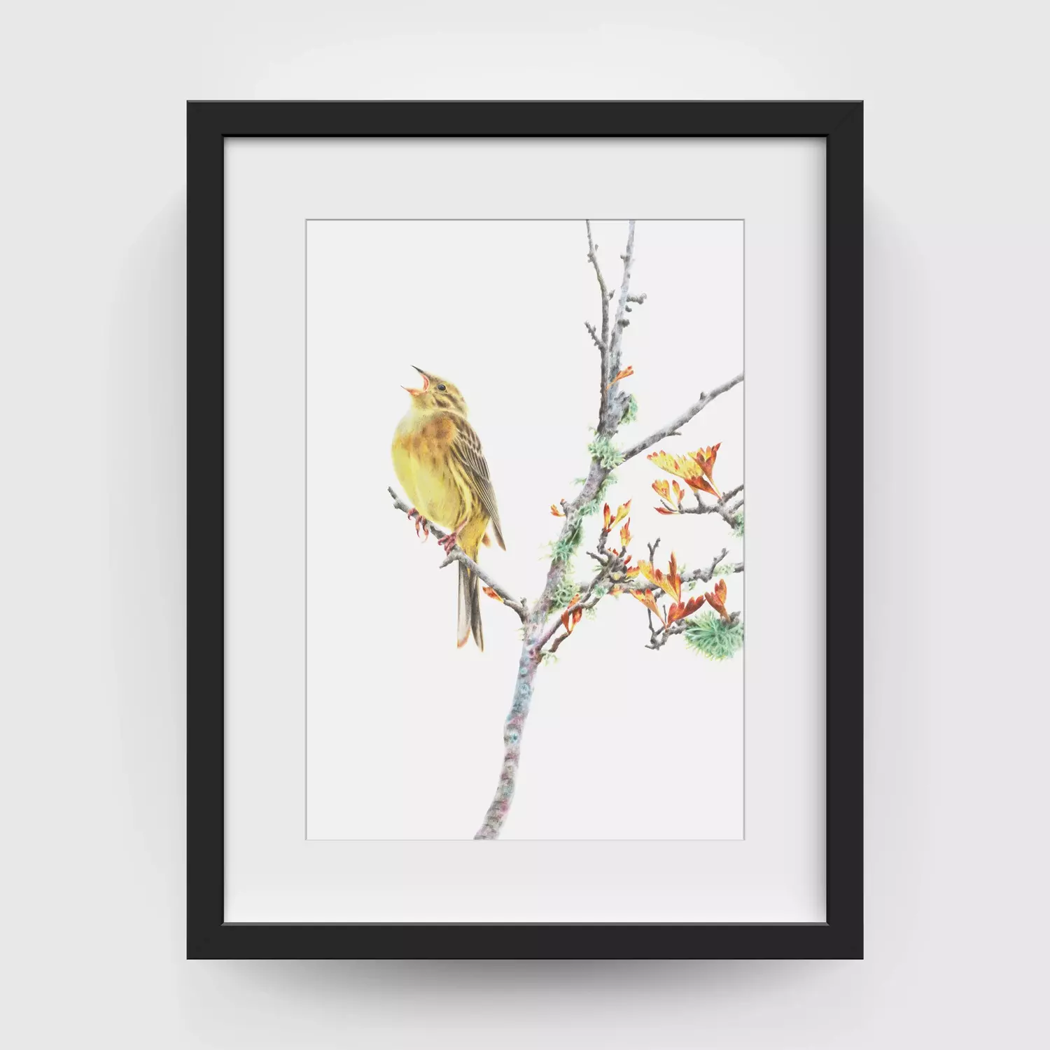 Yellowhammer Framed Picture